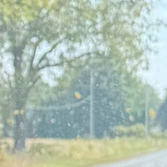 Breeze (prod. rollie)