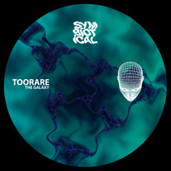 PREMIERE: TooRare - Pleasure [Symbiotical025]