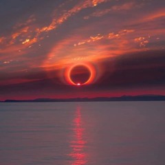 Lay it on the line  Triumph Cover