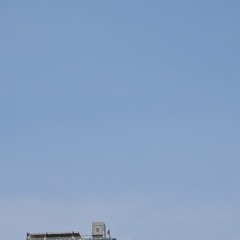 2025 - 03 - 24 chiều 2