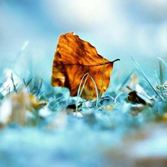 Kpop Playlist August 2021