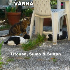VÅRNÅ - Titouan, Sumo, Sultan - 19.09.2023