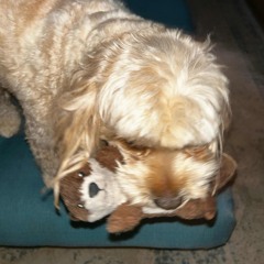 6lack freestyle (prod. theØ)