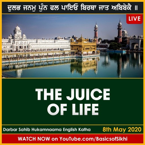 The Juice of Life | 8th May - Sri Darbar Sahib Hukamnama | Bhai Baljit Singh