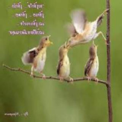 ꫝ̶͈̓A ̷̨̻̘̻̳̦͎͉̱̌̋͆͗̍̅͠͠ᛕ ᛕ 9 9 9