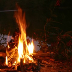 bonfire w/𝐛𝐫𝐢ƵƵ𝐨𝐧𝐠 🔥