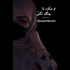 Tu Mekon Bara Changa Lgna, Ankhiyan la na la. Saraiki Song