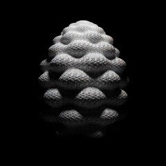 Beatport - Top 10 2025 vol.01