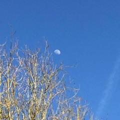 Fullmoon (Sonata Arctica Cover/orchestral)