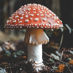 Slam Remaster 30th April 94