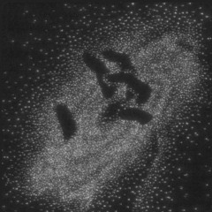 OWVR - PASSION VIP [FREE DL]