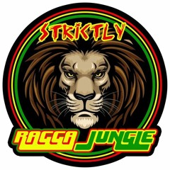 Strictly Ragga Jungle Lp mashup