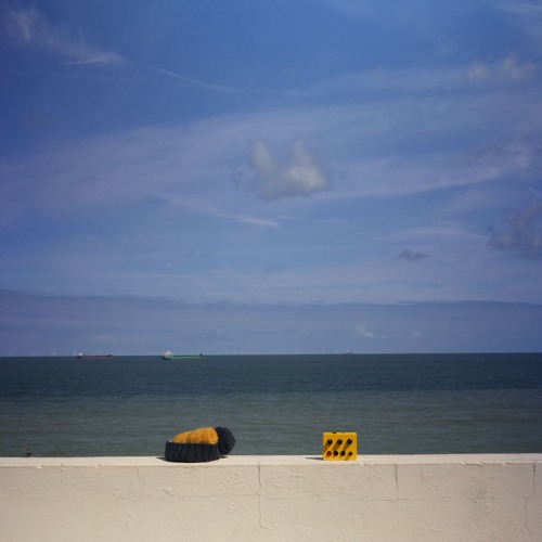 Panda Bear - Venom's In (Jaime Rosso Siren Dub)