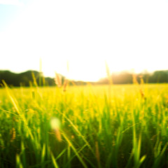 Flaring Summer (Sped Up)