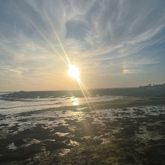 My love (1 n only edit)