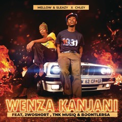 Wenza Kanjani (feat. 2woshort, TNK MusiQ & BoontleRSA)