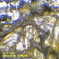 Bruce Wain - Analogue Forest Mix