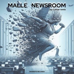 Malle - Newsroom (Jay Caesar Remix)