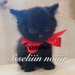 Ssseliiin noir – Casino