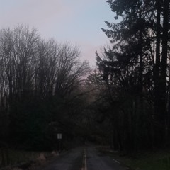 translucency
