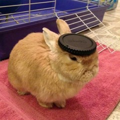 Рысь И Форель - Я Ненавижу Вас...