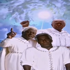 efn / epstein fuck n*****rs by vrigger on youtube