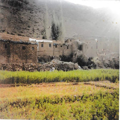 Lessons from the Imam of Yemen Shaykh Muqbil
