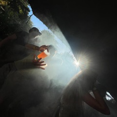 MBV in the Nest // Tombé du nid