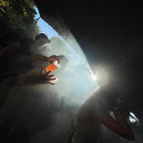 MBV in the Nest // Tombé du nid