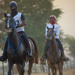 🐎