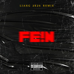 FE!N (Liang 2025 Remix)