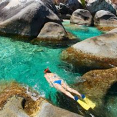 Best Snorkel Place In Tortola Prices Reviews