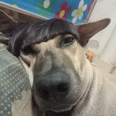 THINK ABOUT U REMIX - KAY CHÂU ANH  NHẠC HOT TIK TOK 2024 - 2025 - Bấn Còi Music.mp3