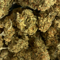 Dzielnice (prod. Spejson)