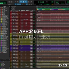 APR3466-L – Final Mix Project