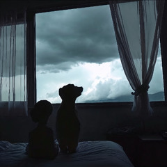 Used To Sound Like Love