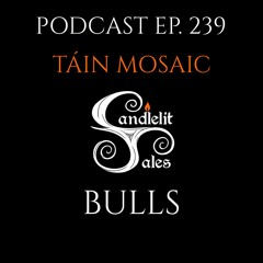 Episode 239 - Táin Mosaic - Bulls