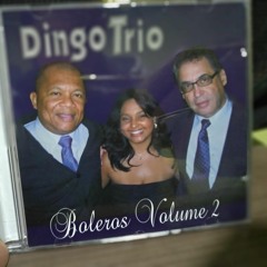 09 - F Comme Femme (Salvatore Adamo)