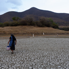 Intercambios: Diagnóstico de la sequía