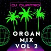 Descargar video: ORGANS VOL 2