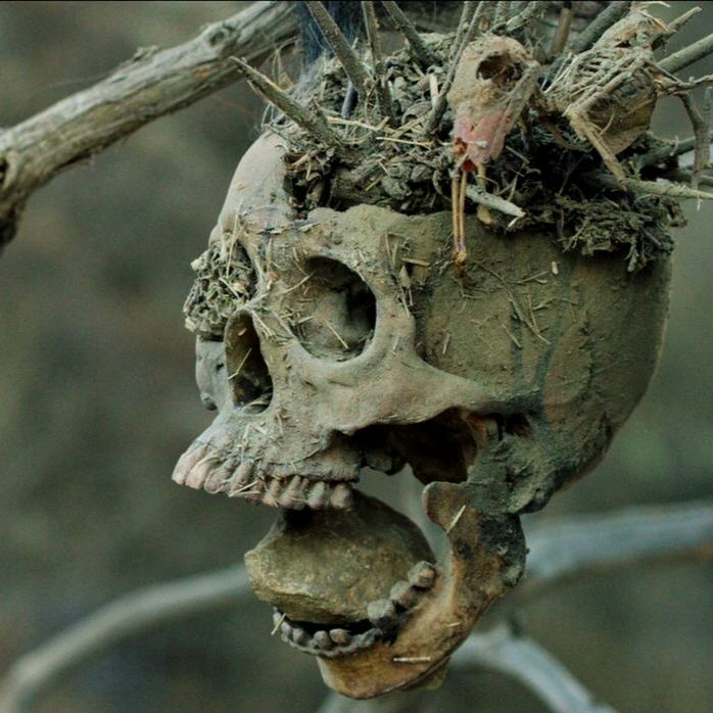 Bone Tomahawk (2015) episode artwork