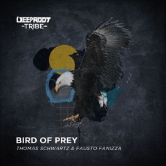 Thomas Schwartz Fausto Fanizza - Bird Of Prey