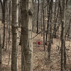 Passing By