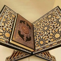 آيات 🪴