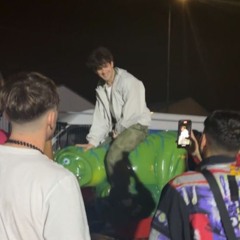 diagnostix on a bull