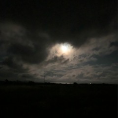 Sketches from the heart 1