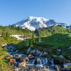 Vista