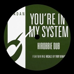 you're in my system (hiRobbie dub)