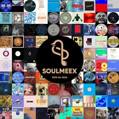 SOULMEEX TAPE Q4 2024