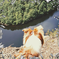 Carina Pesch (La Pesch): Vltava